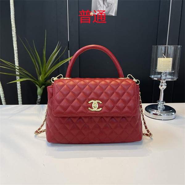 Chanel small bag-0654