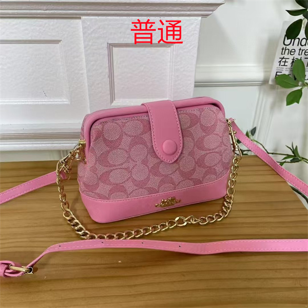 Coach small bag-1041