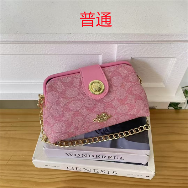 Coach small bag-1051