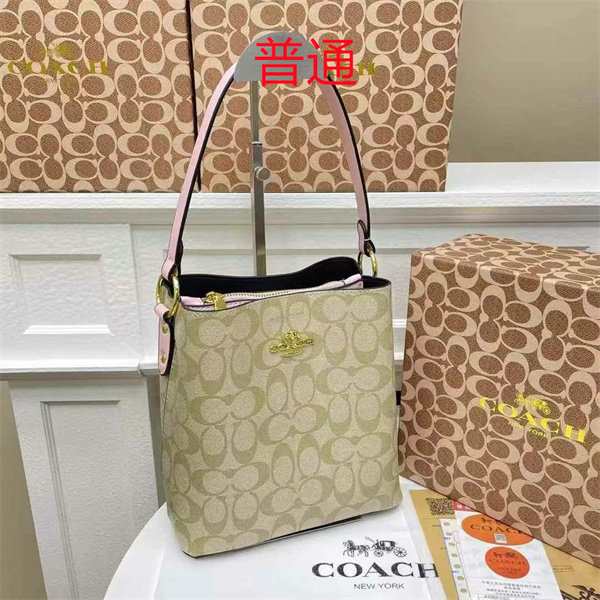 Coach small bag-1066