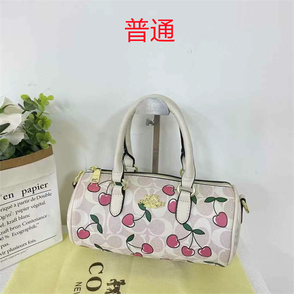 Coach small bag-1119