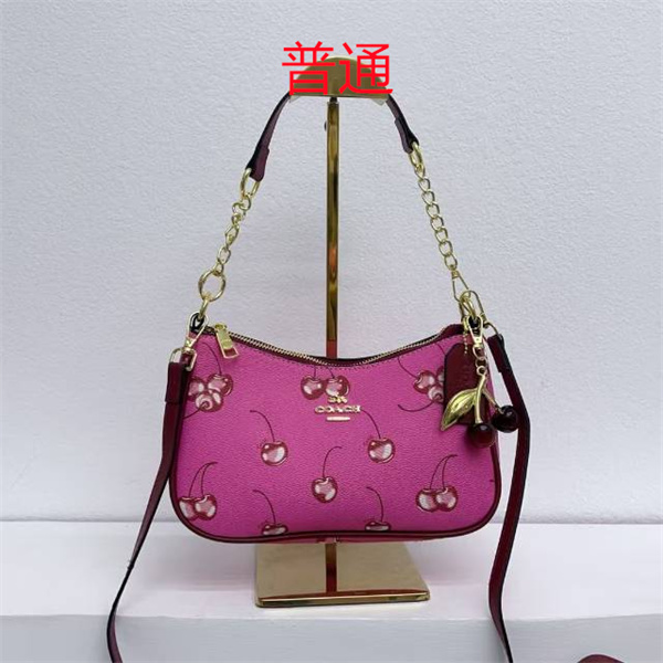 Coach small bag-1129