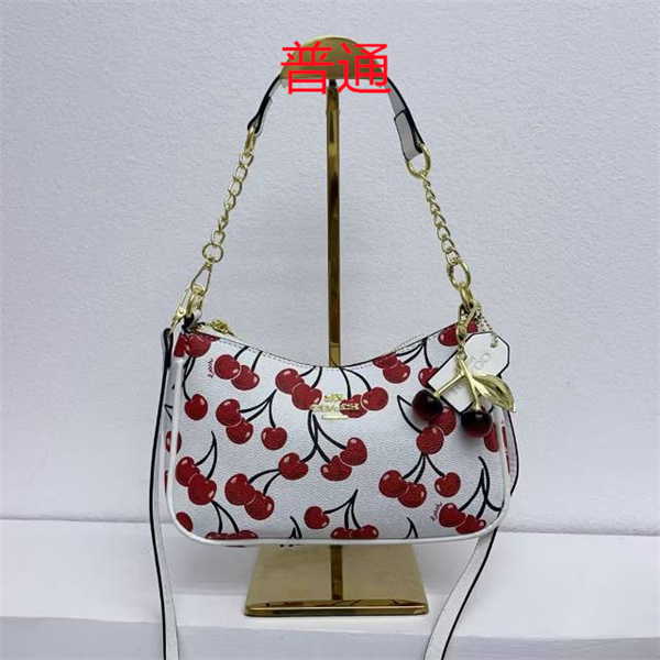 Coach small bag-1130