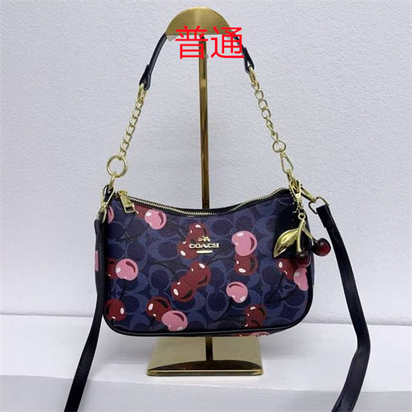 Coach small bag-1131