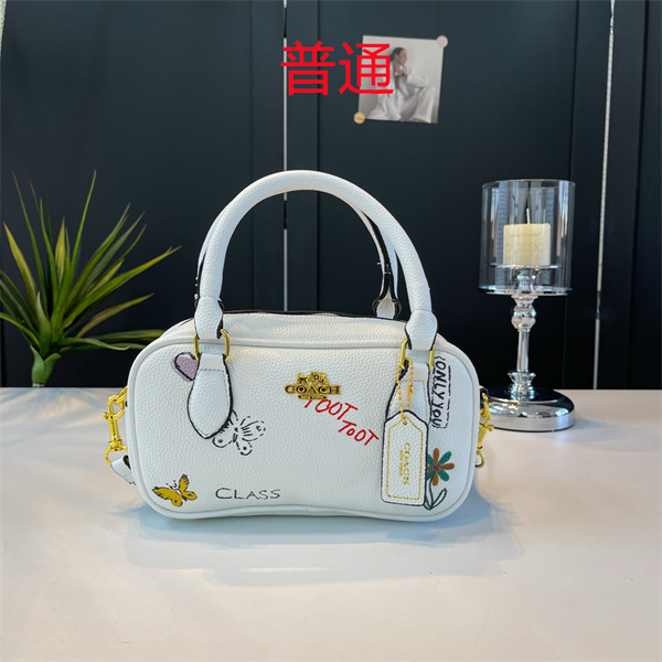 Coach small bag-1141