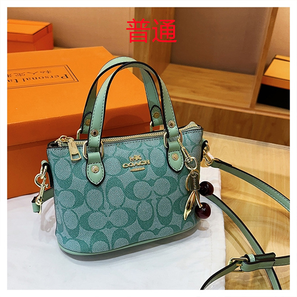 Coach small bag-1144