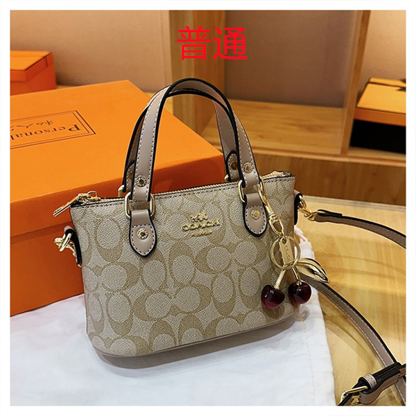 Coach small bag-1146