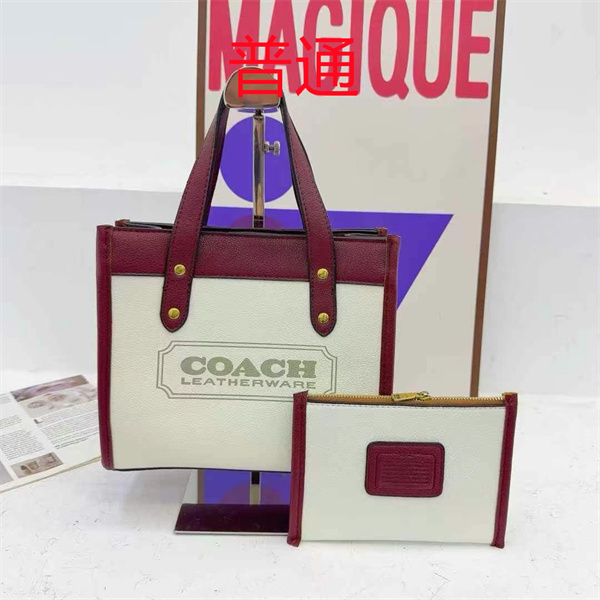 Coach small bag-1251