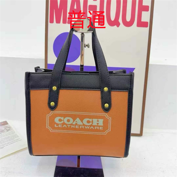 Coach small bag-1253