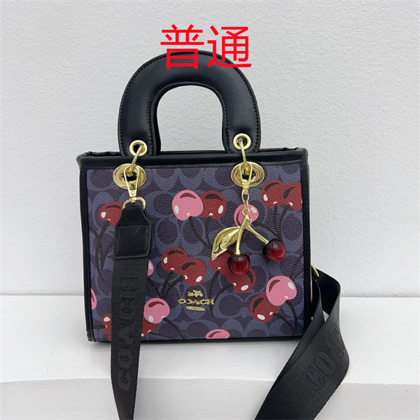 Coach small bag-1266