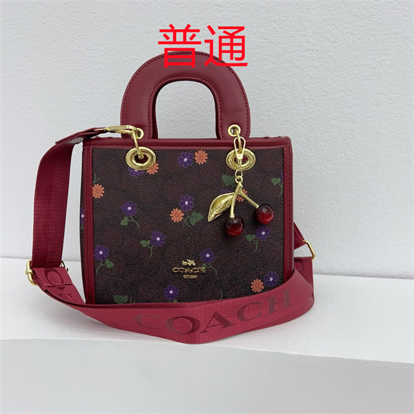 Coach small bag-1269