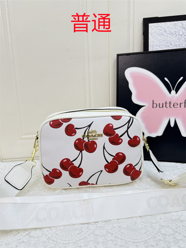 Coach small bag-1315