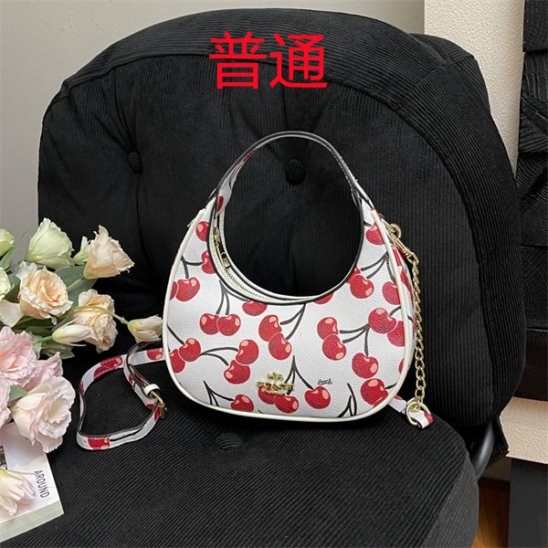 Coach small bag-1349