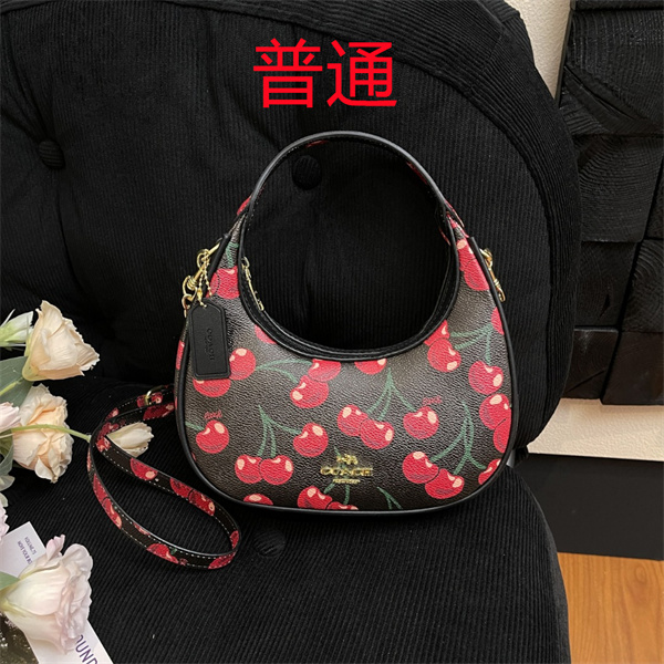 Coach small bag-1353