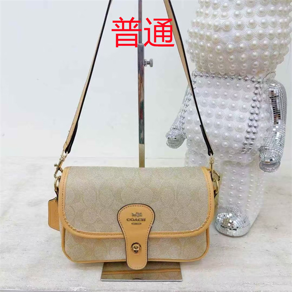 Coach small bag-1361