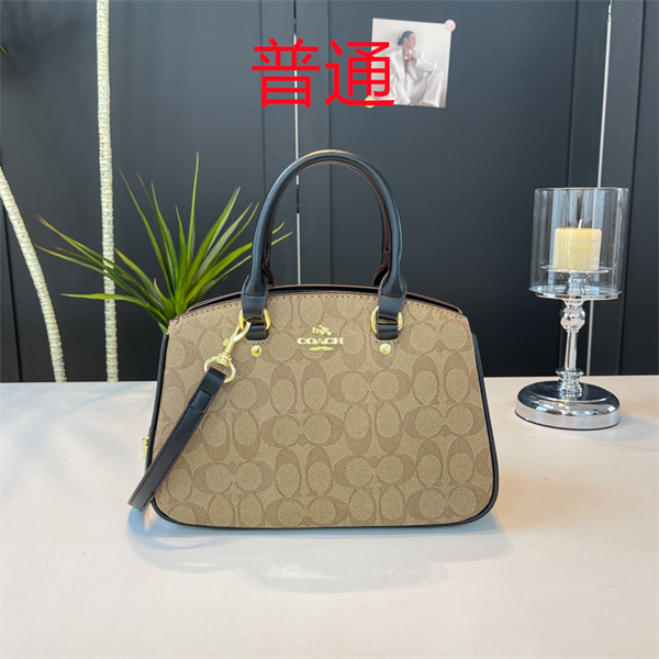 Coach small bag-1478