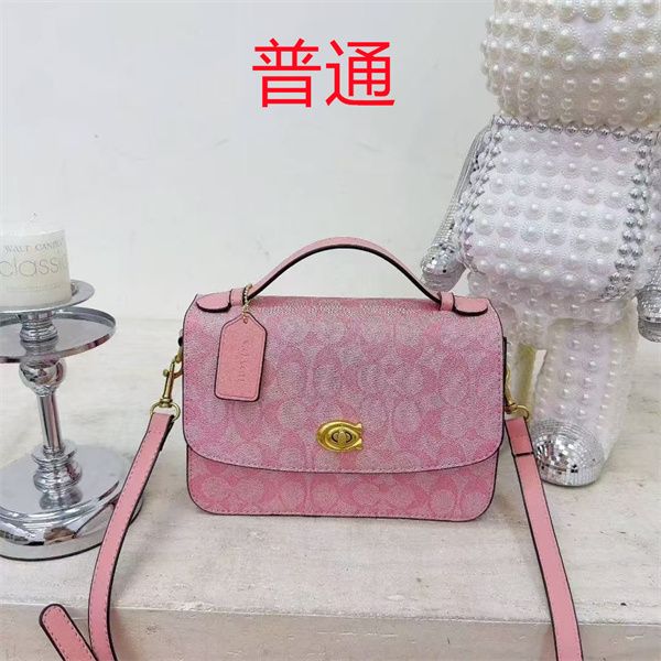 Coach small bag-1529