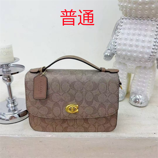 Coach small bag-1531