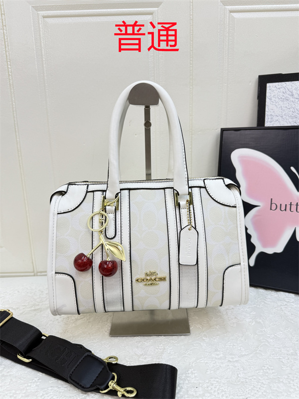 Coach small bag-1538