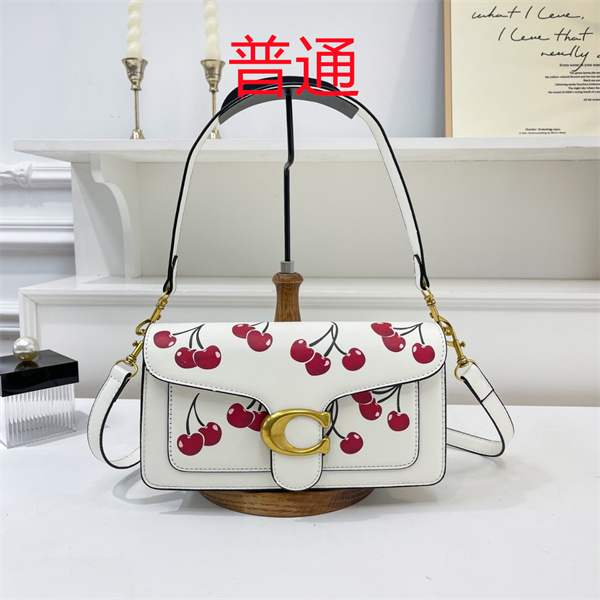 Coach small bag-1541