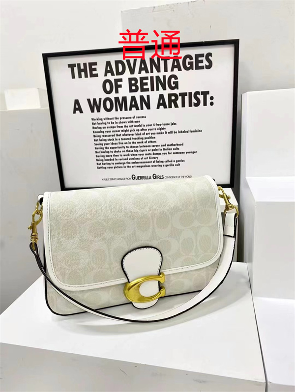 Coach small bag-1591