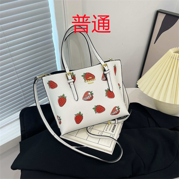 Coach small bag-1645