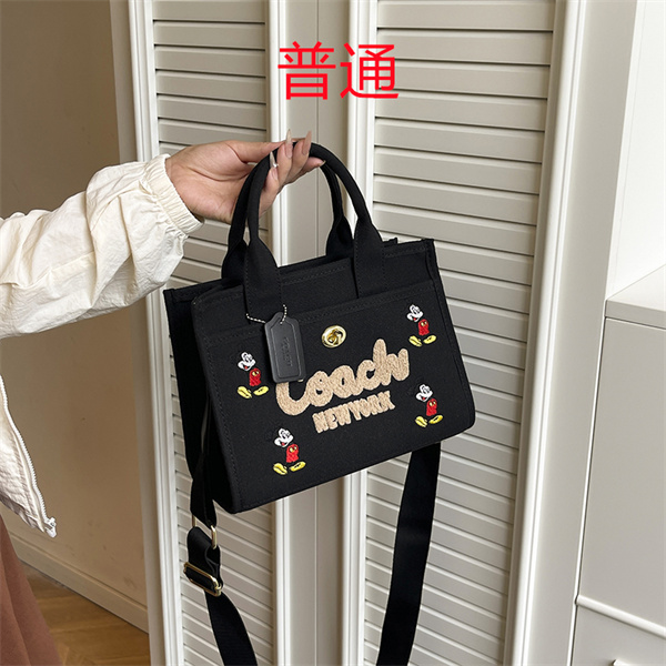 Coach small bag-1683