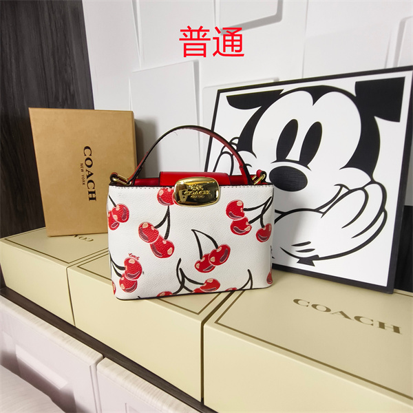 Coach small bag-1759