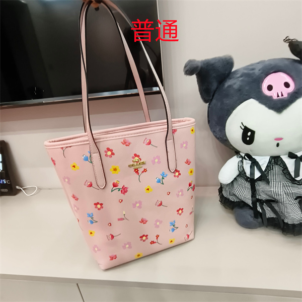 Coach small bag-1773