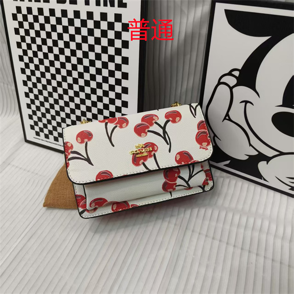 Coach small bag-1779