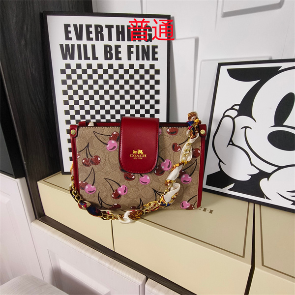 Coach small bag-1783