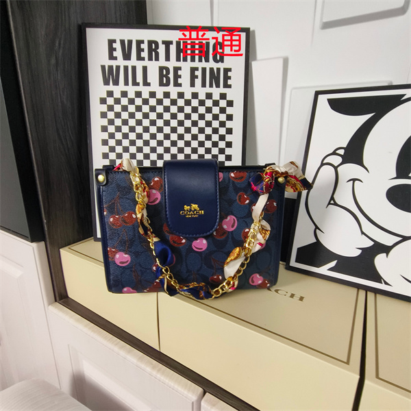 Coach small bag-1785