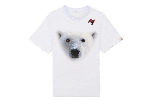 NFL T-shirt-M(10)-121