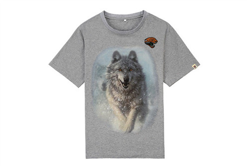 NFL T-shirt-M(10)-044