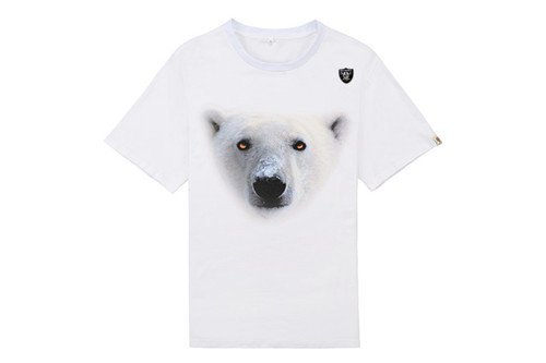 NFL T-shirt-M(10)-215