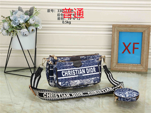 Dior small bag-0061