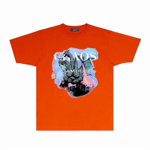 Amiri Round neck T-shirt-M(1)-1875