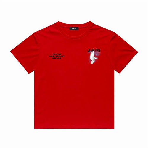 Amiri Round neck T-shirt-M(1)-0768