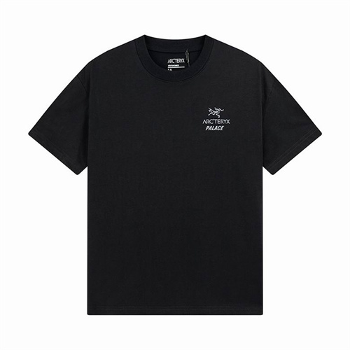 Arcteryx Round neck T-shirt-M-015