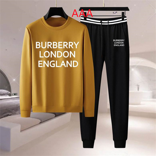 Buberry(AAA)suits-0180