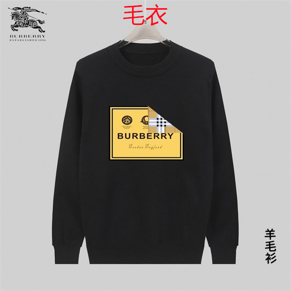 Burberry(Man)Sweaters-0368
