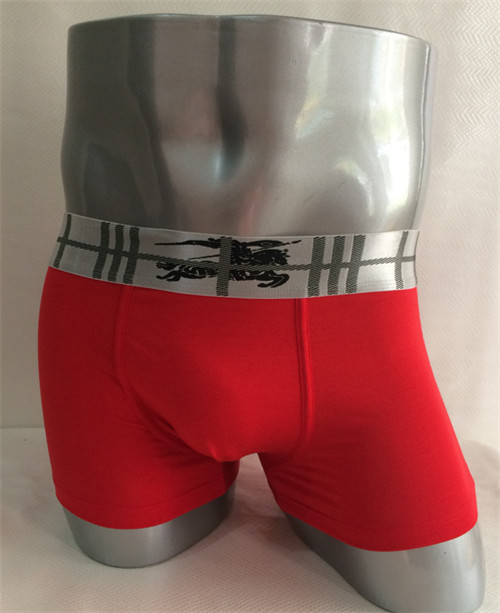 Burberry underwear-023
