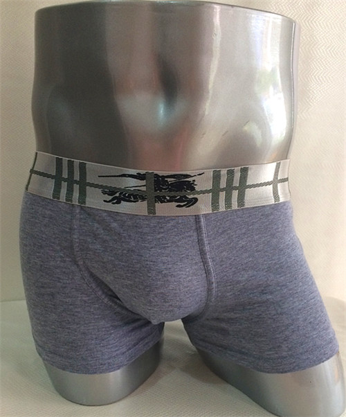 Burberry underwear-024