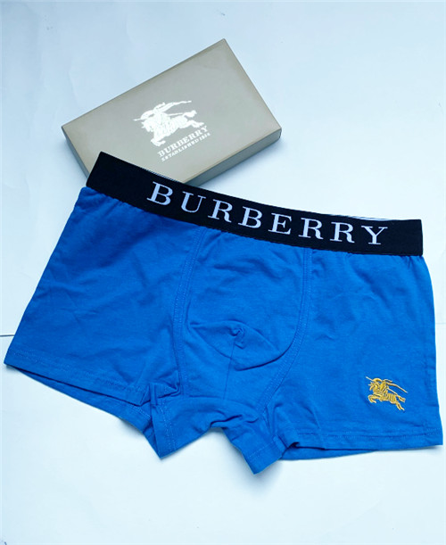Burberry underwear-010