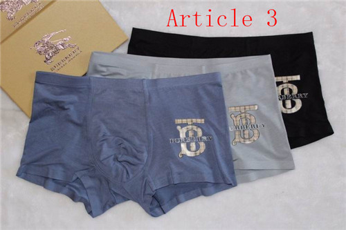 Burberry underwear-049