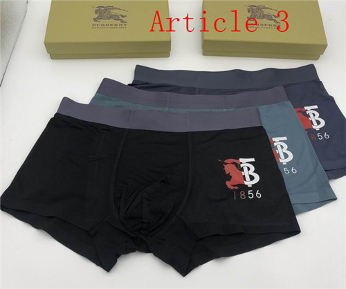 Burberry underwear-060