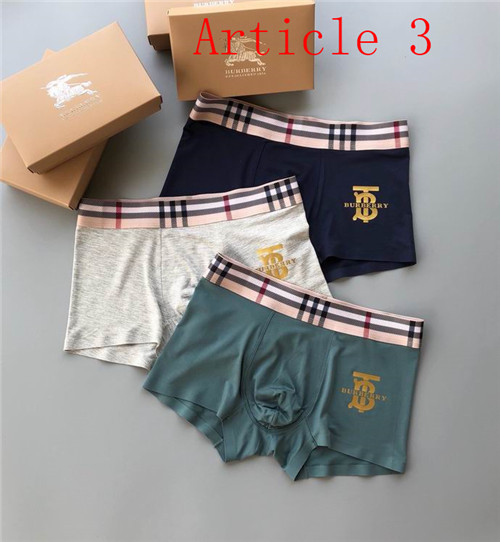 Burberry underwear-034