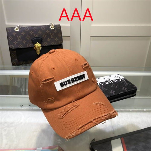 Burberry-Cap(AAA)-131