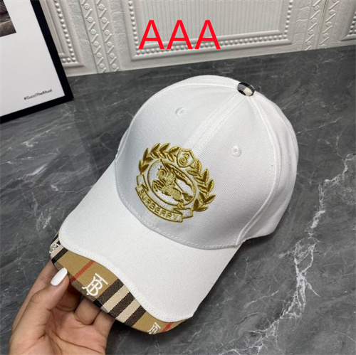 Burberry-Cap(AAA)-147