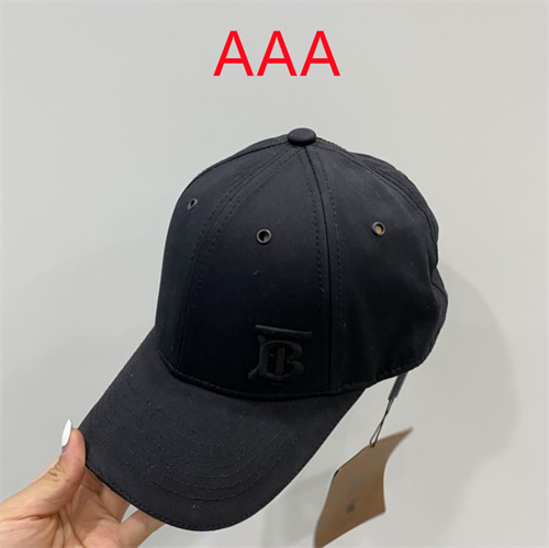Burberry-Cap(AAA)-157
